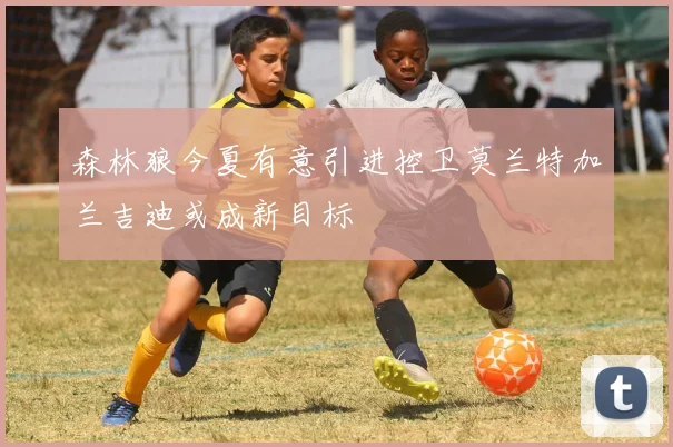 森林狼今夏有意引进控卫莫兰特加兰吉迪或成新目标