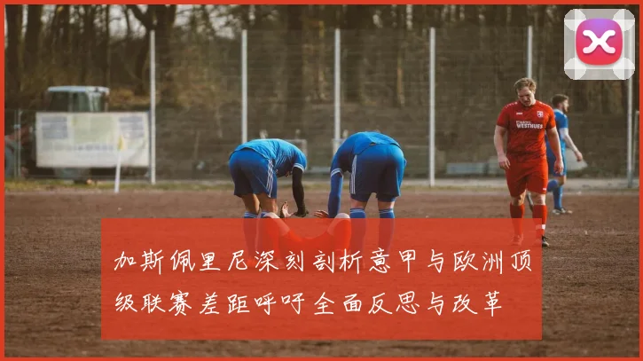 加斯佩里尼深刻剖析意甲与欧洲顶级联赛差距呼吁全面反思与改革